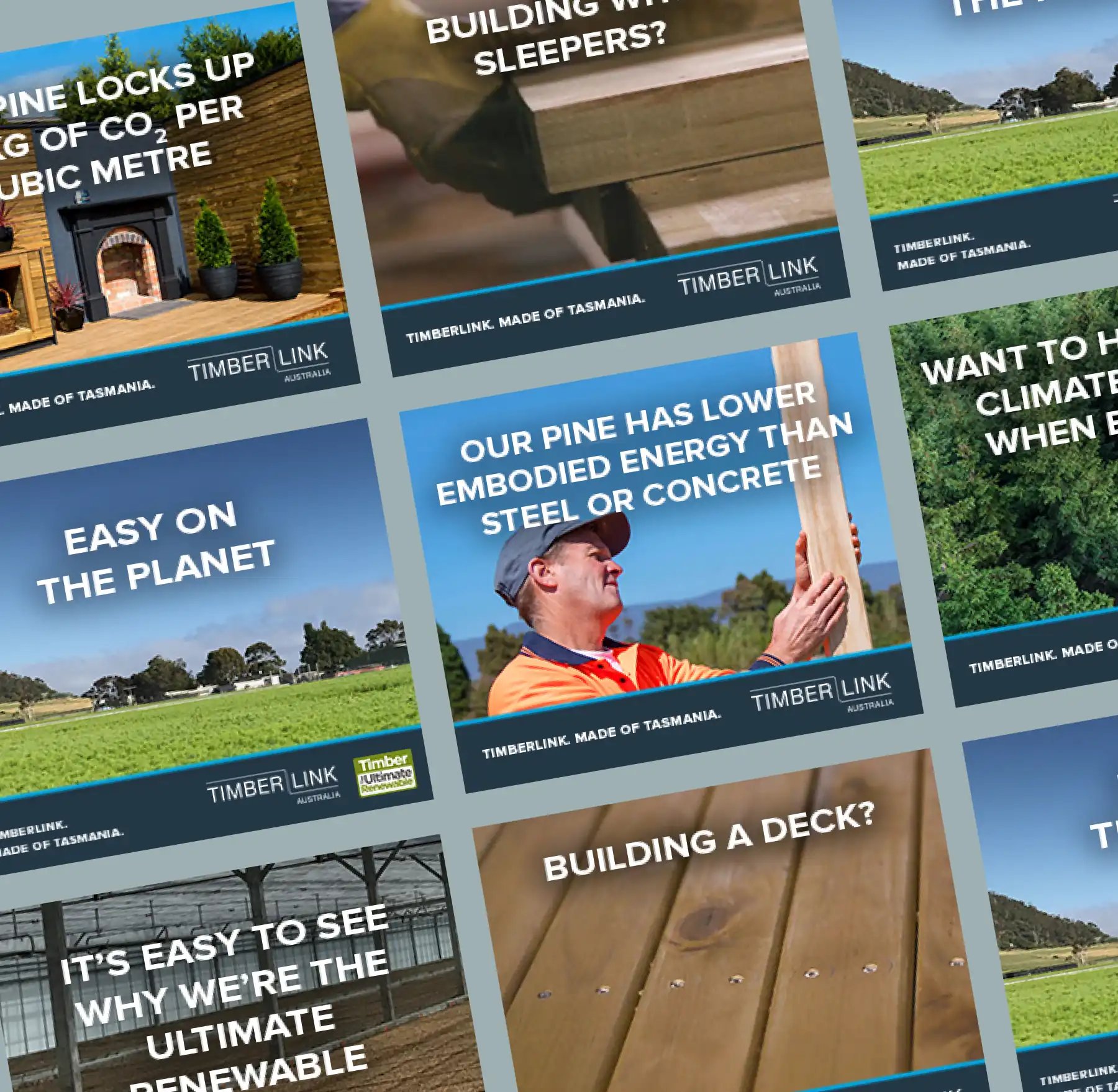 Timberlink_Asset2
